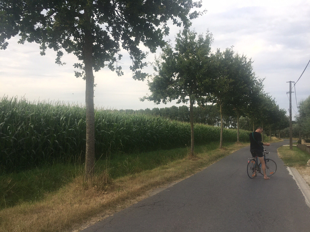 B&B De Weide Wereld主图
