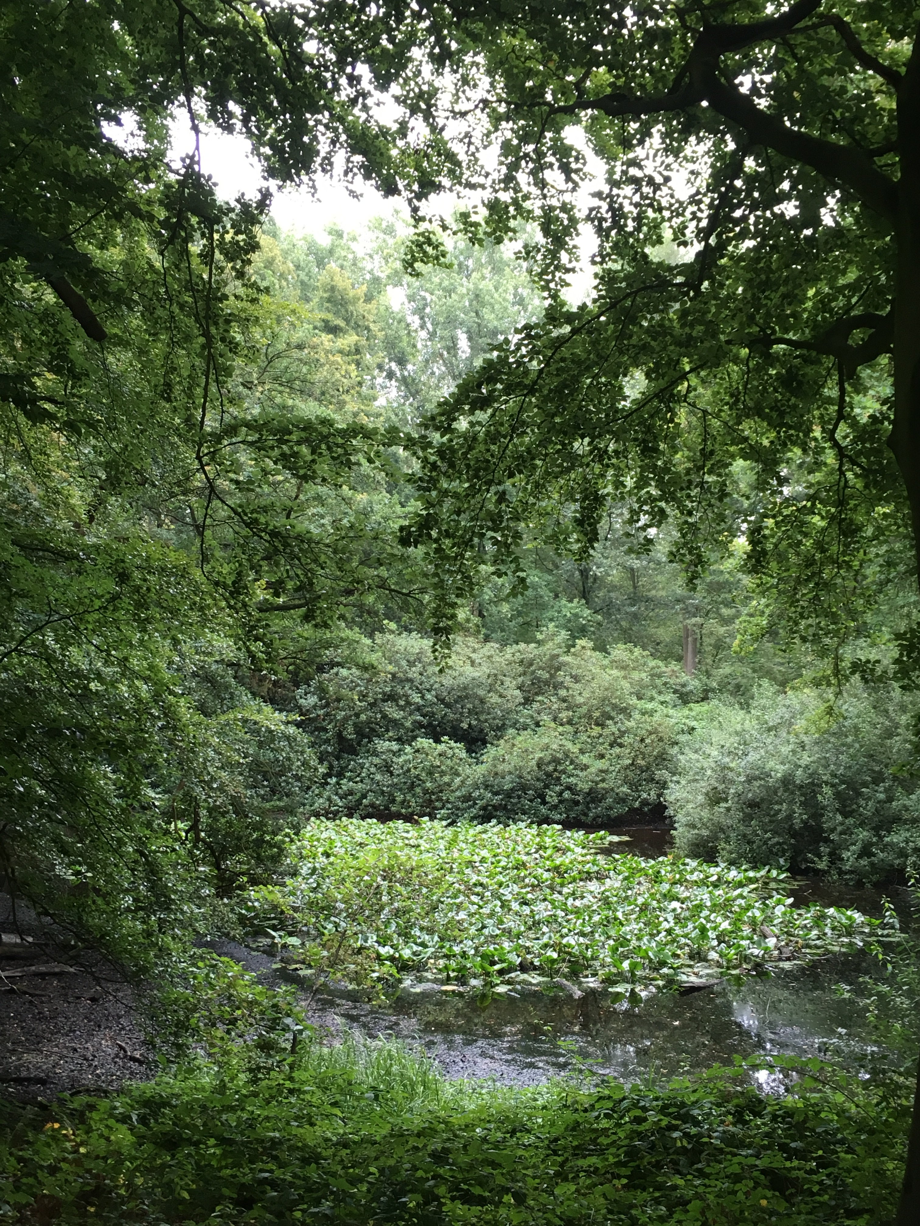 Kasteel Maurick-浴室