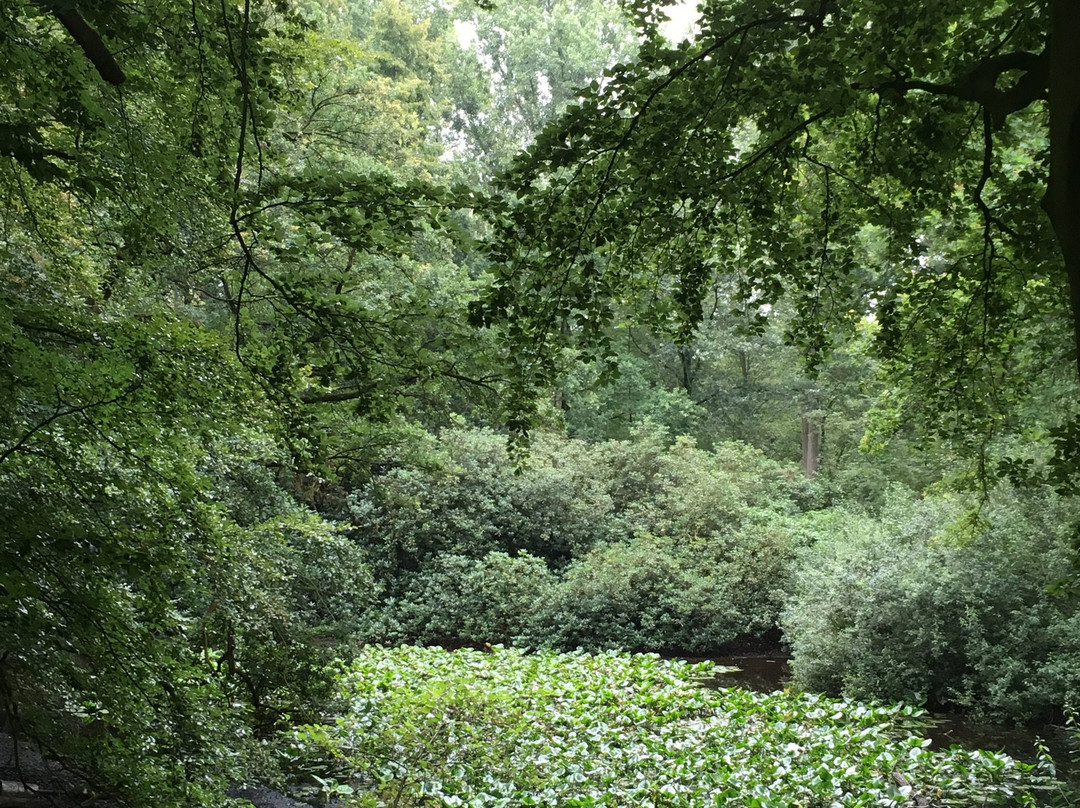 Kasteel Maurick主图
