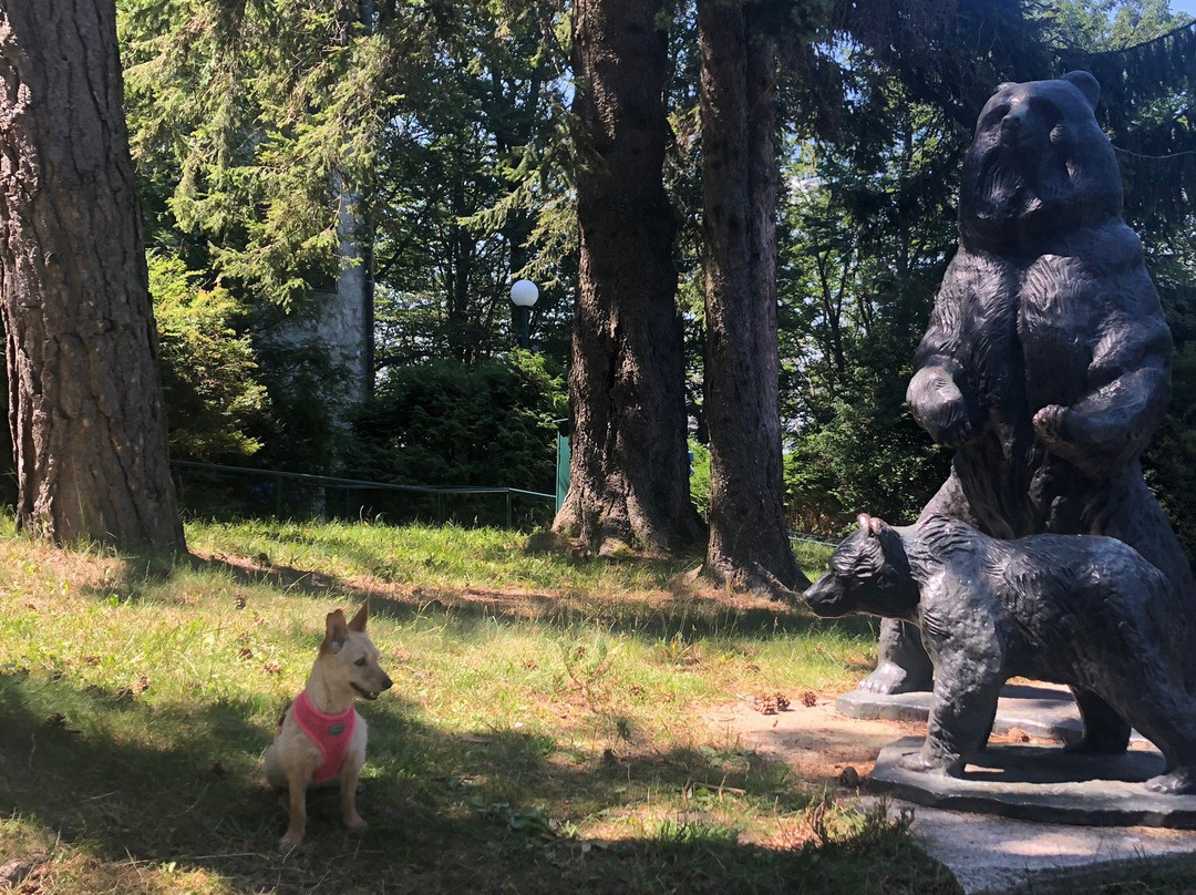 Gornja Bistra餐馆和美食-Restoran Tomislav