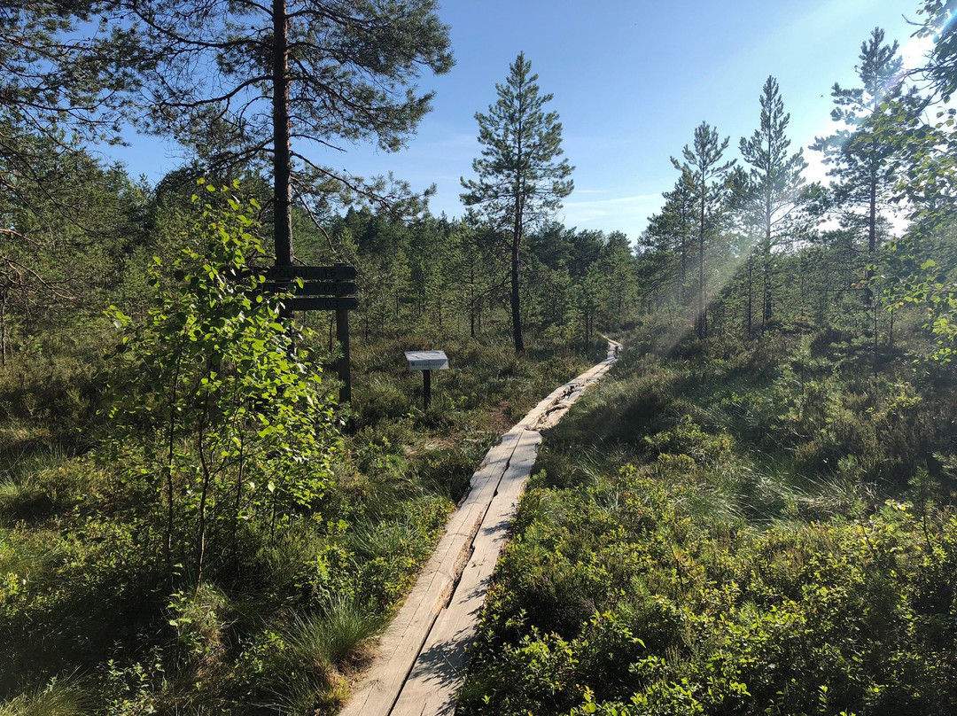 Puurijarvi-Isosuo National Park-Huittinen必去景点