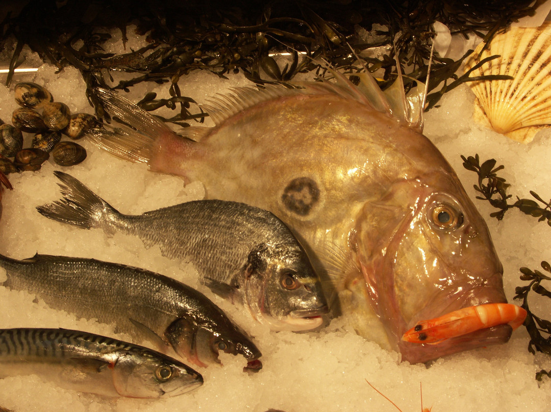Fisch-Feinkost Kluge
