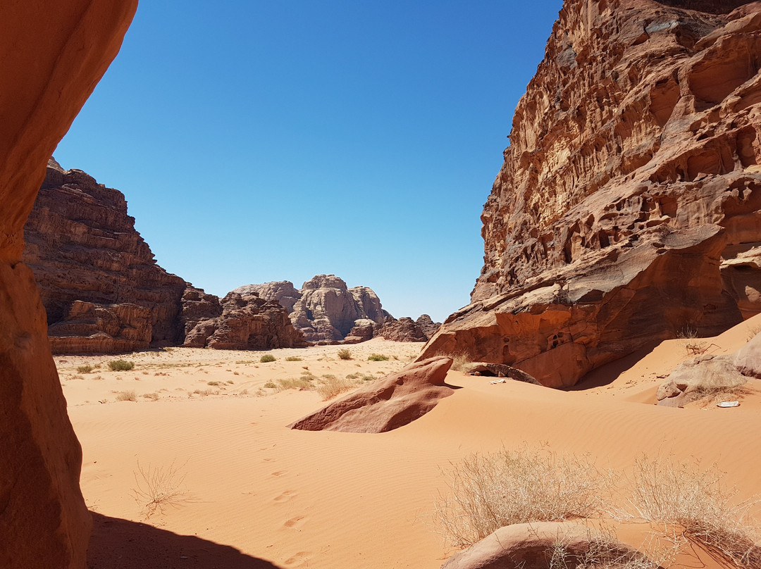 Jordan Tracks