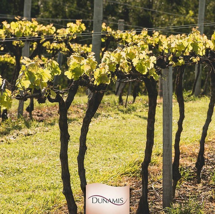 Dom Pedrito旅游攻略图片