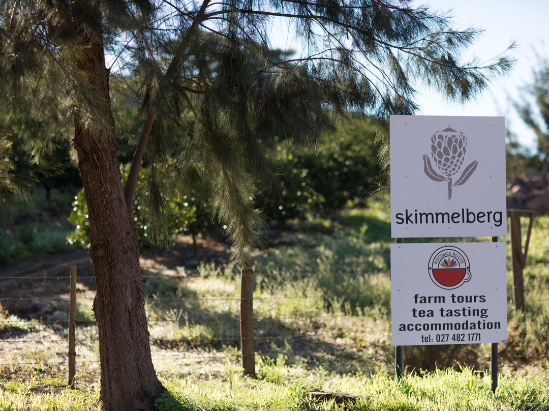 Skimmelberg Buchu & Rooibos Tours-Cederberg必去景点