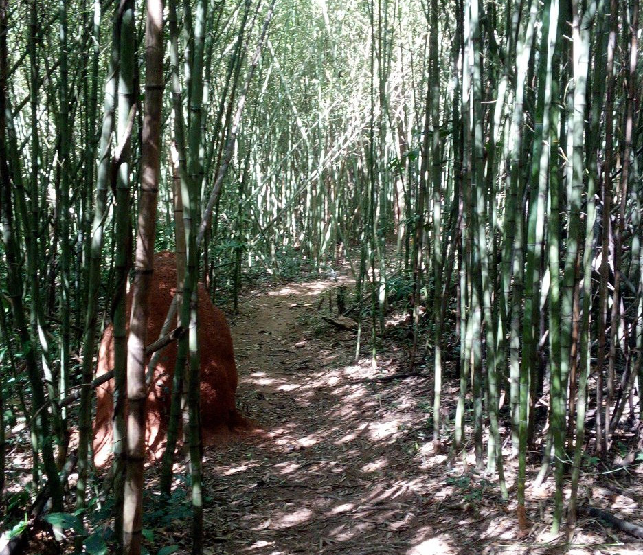 Mundão das Trilhas-Amparo必去景点