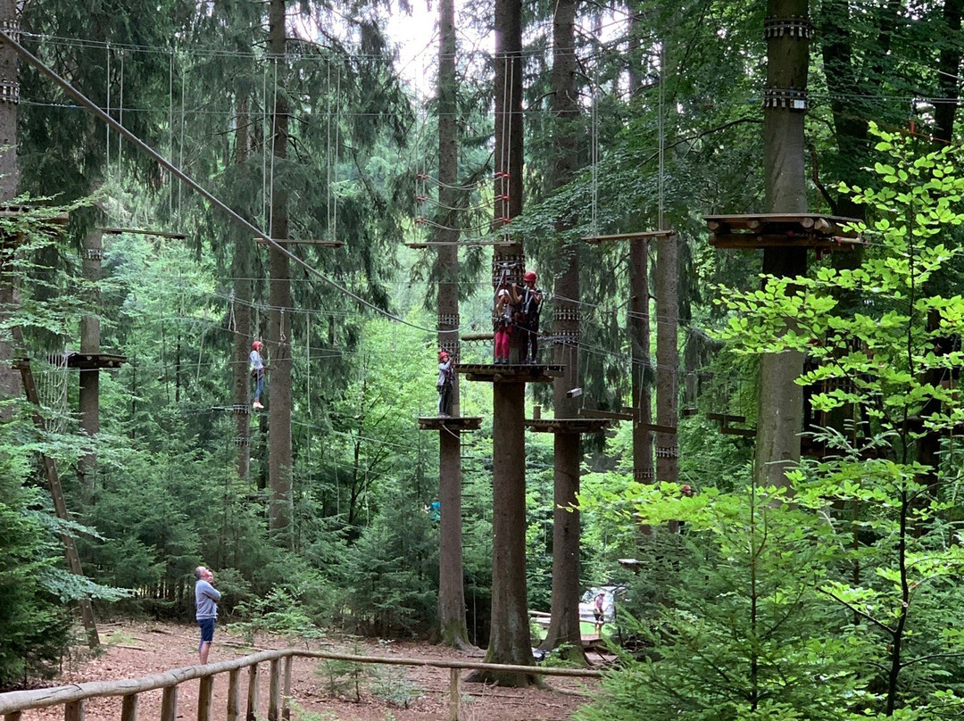 Wild- Und Wanderpark Rappweiler-zwalbach景点图片