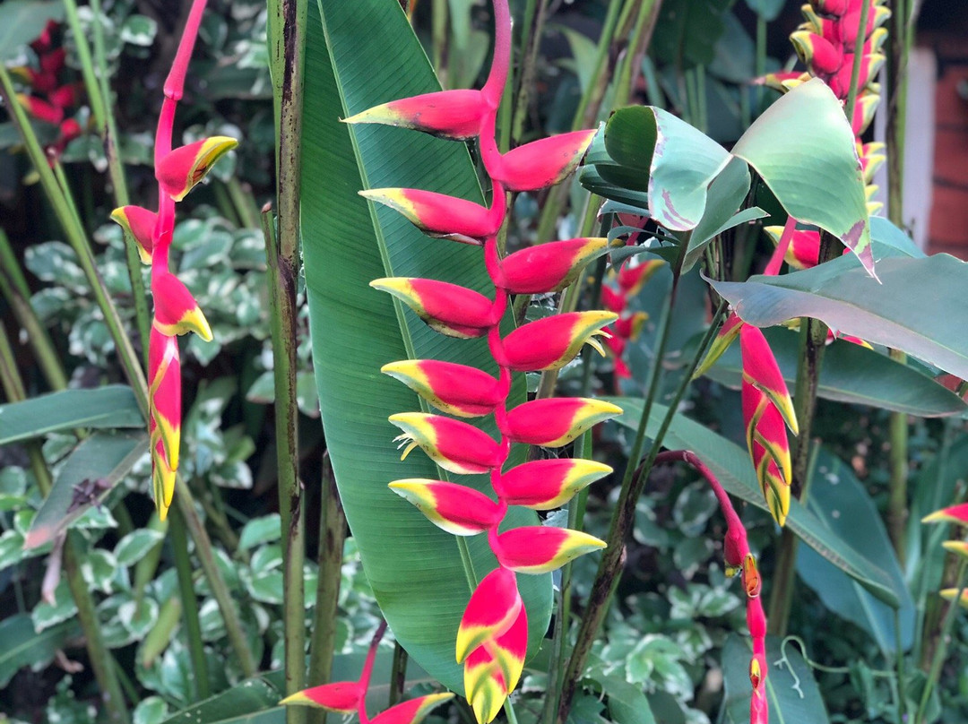 High Court View Hotel主图