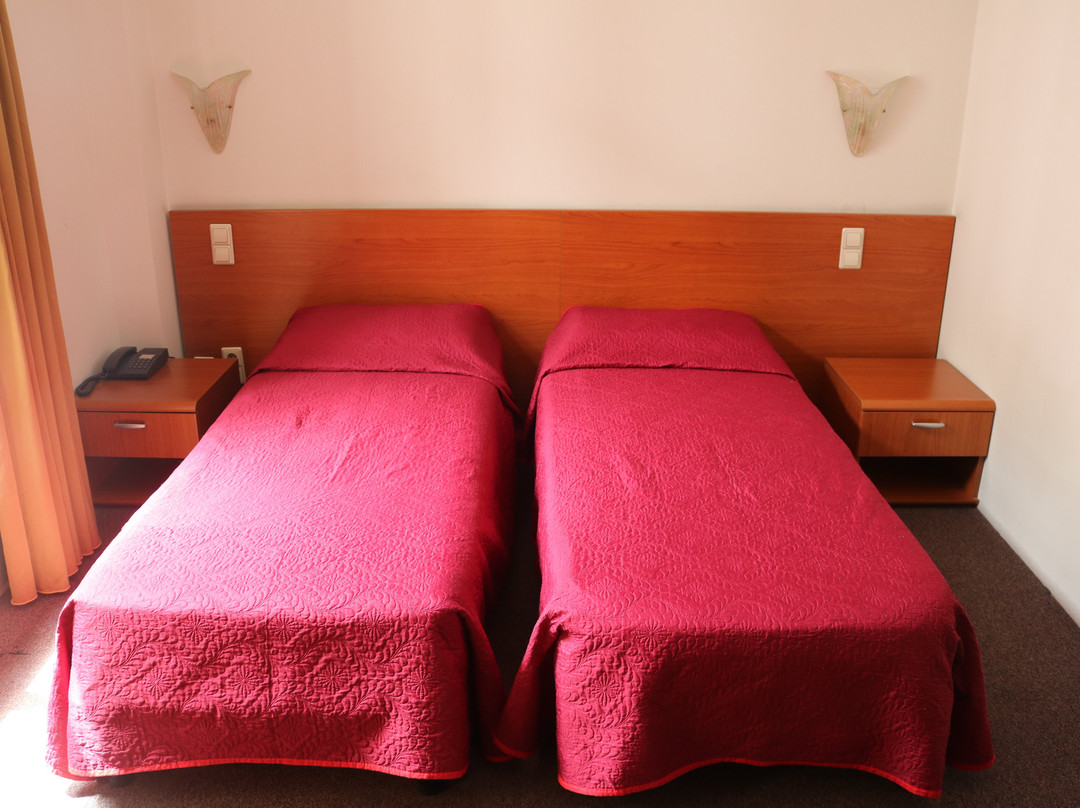 嘎基丽欧蒂主图