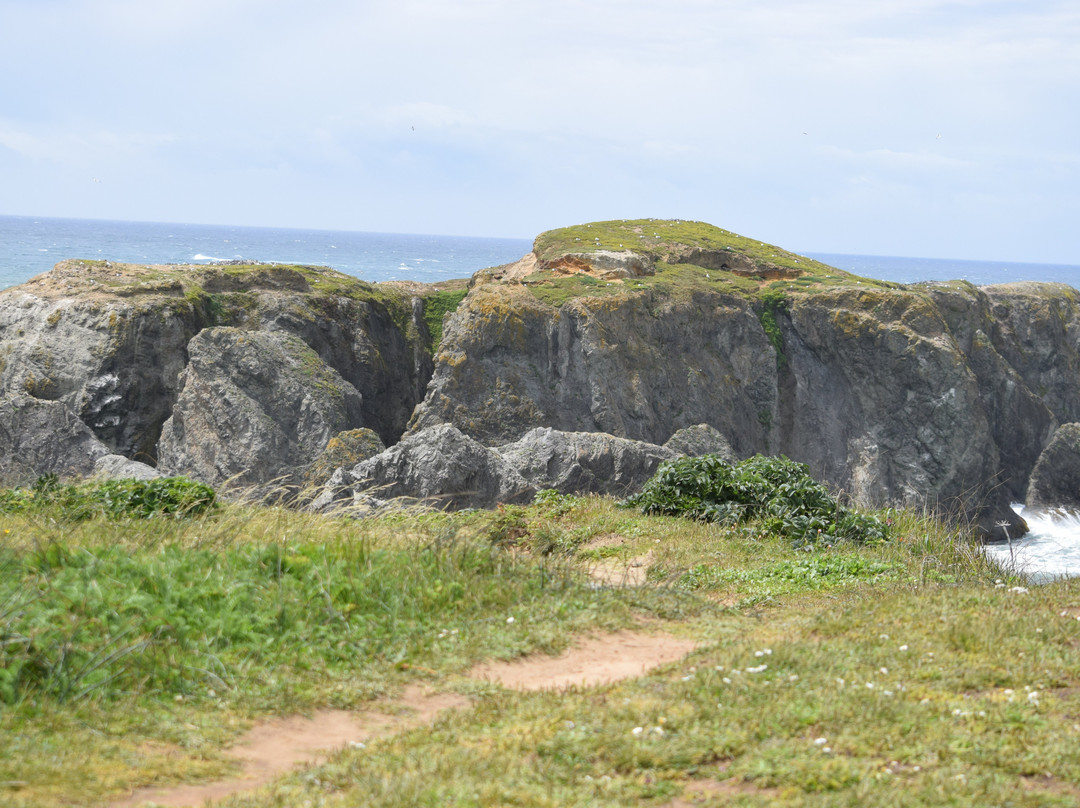 Bandon State Park景点图片