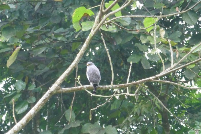 Anaconda Lodge Ecuador-浴室