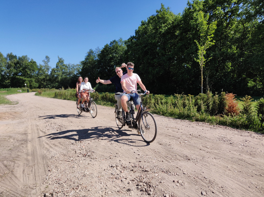 Veluwe Specialist Harderwijk-Harderwijk必去景点