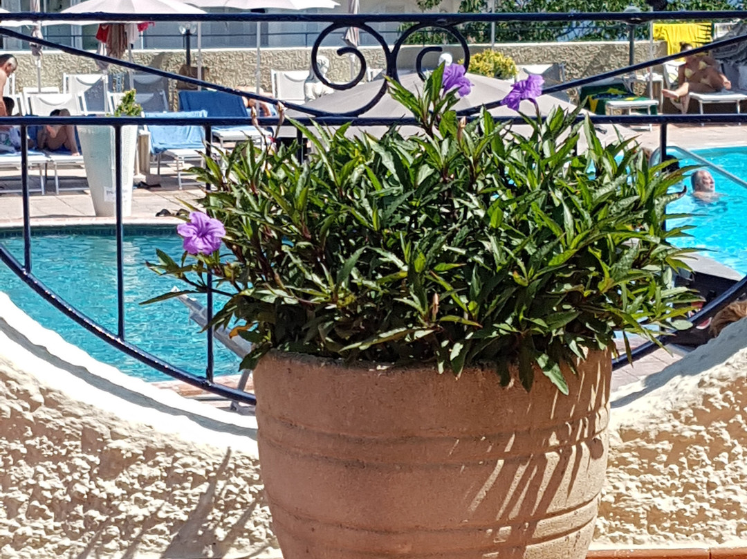 Park Hotel Terme Michelangelo主图