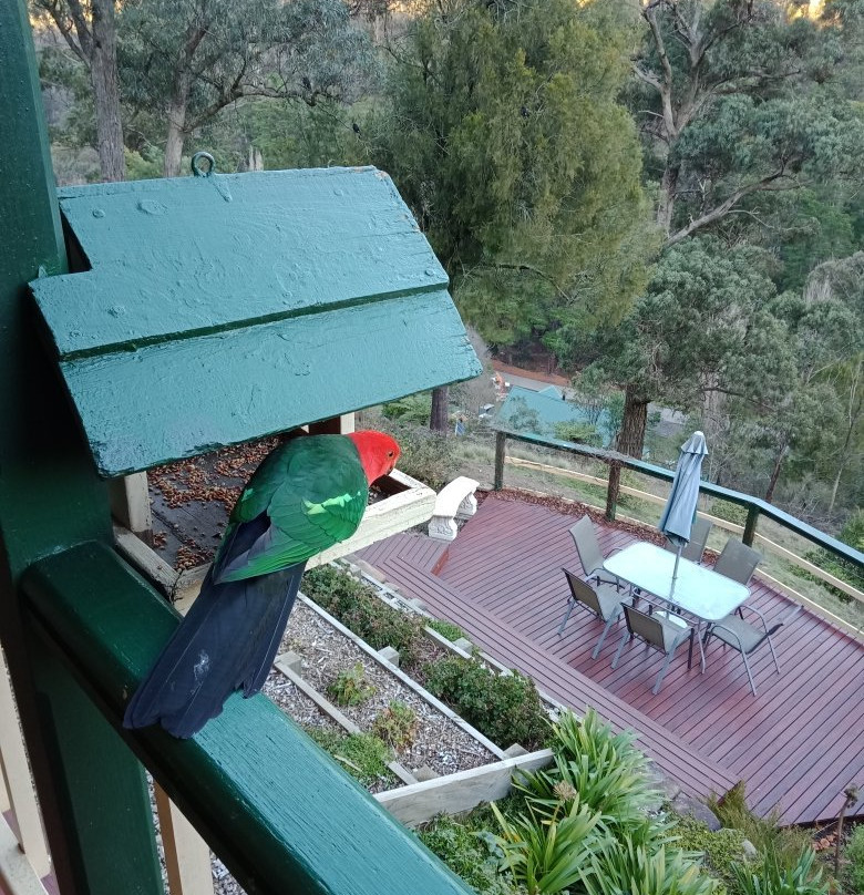 Wild Cherry B&B主图