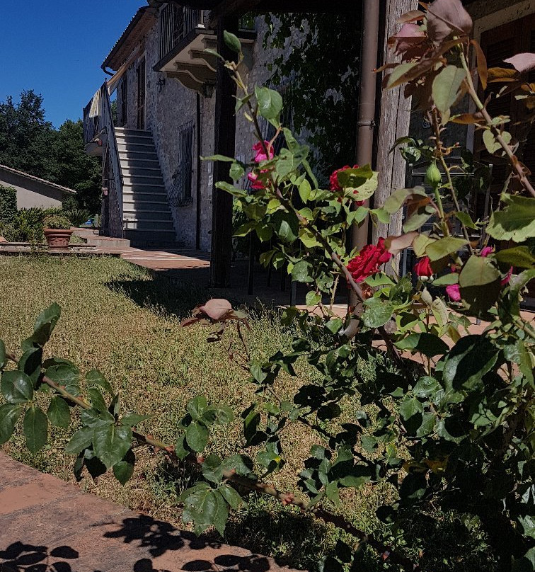 Agriturismo La Conserva主图