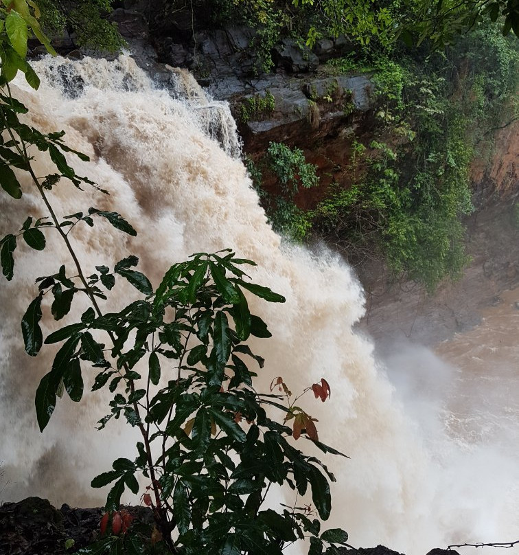 Arvalam Waterfalls景点图片