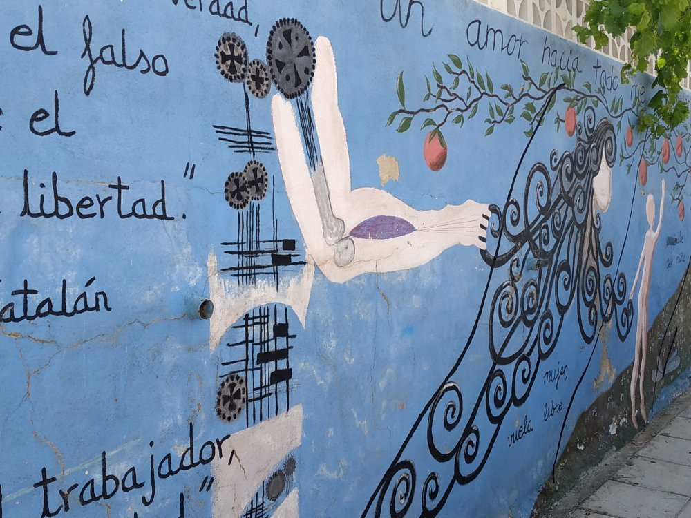 Muurschilderingen - Murales in de wijk San Isidro景点图片
