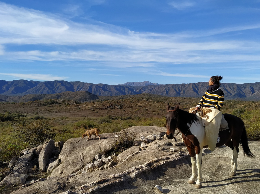 Estancia Puesto Viejo主图