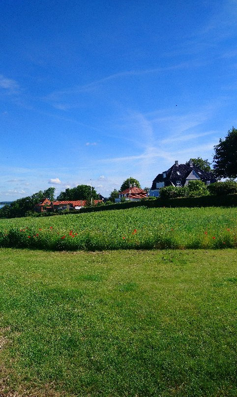 Byparken City Park, Roskilde-罗斯基勒必去景点