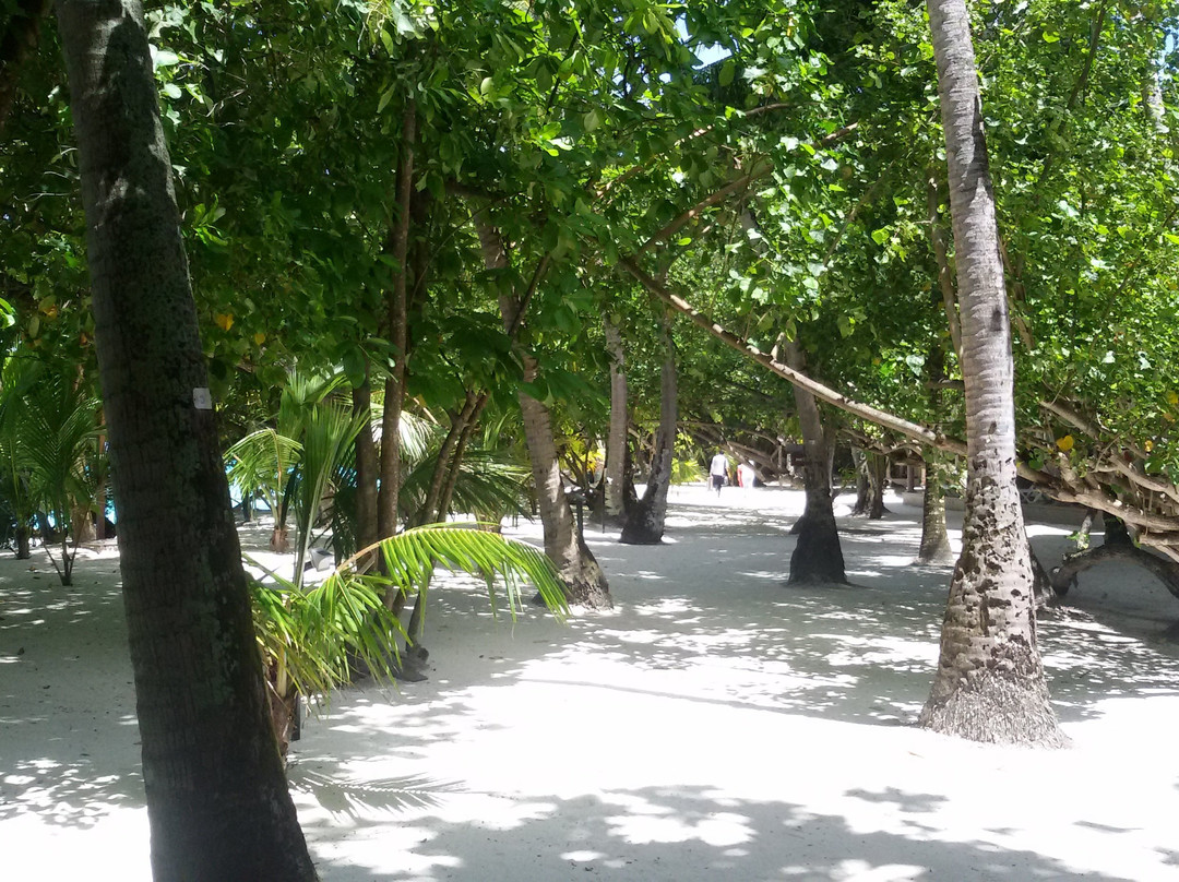 阿达兰瑞娜丽度假村主图