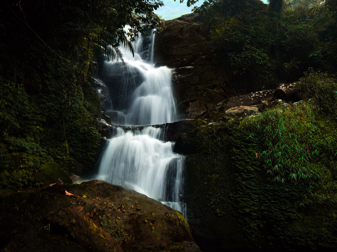 Idukki District旅游攻略图片