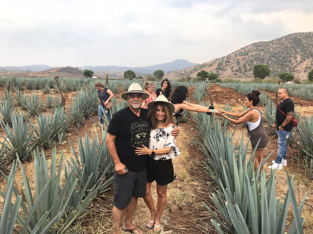 Parroquia Santiago Apostol-特基拉必去景点