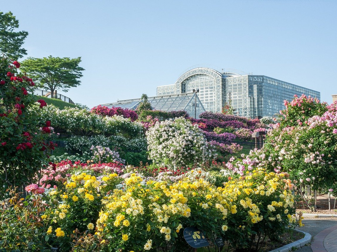 Green Park-北九州市必去景点