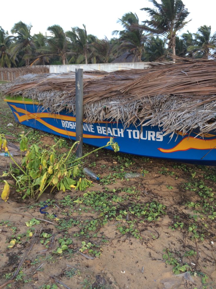 Roshanne Beach Resort-泳池