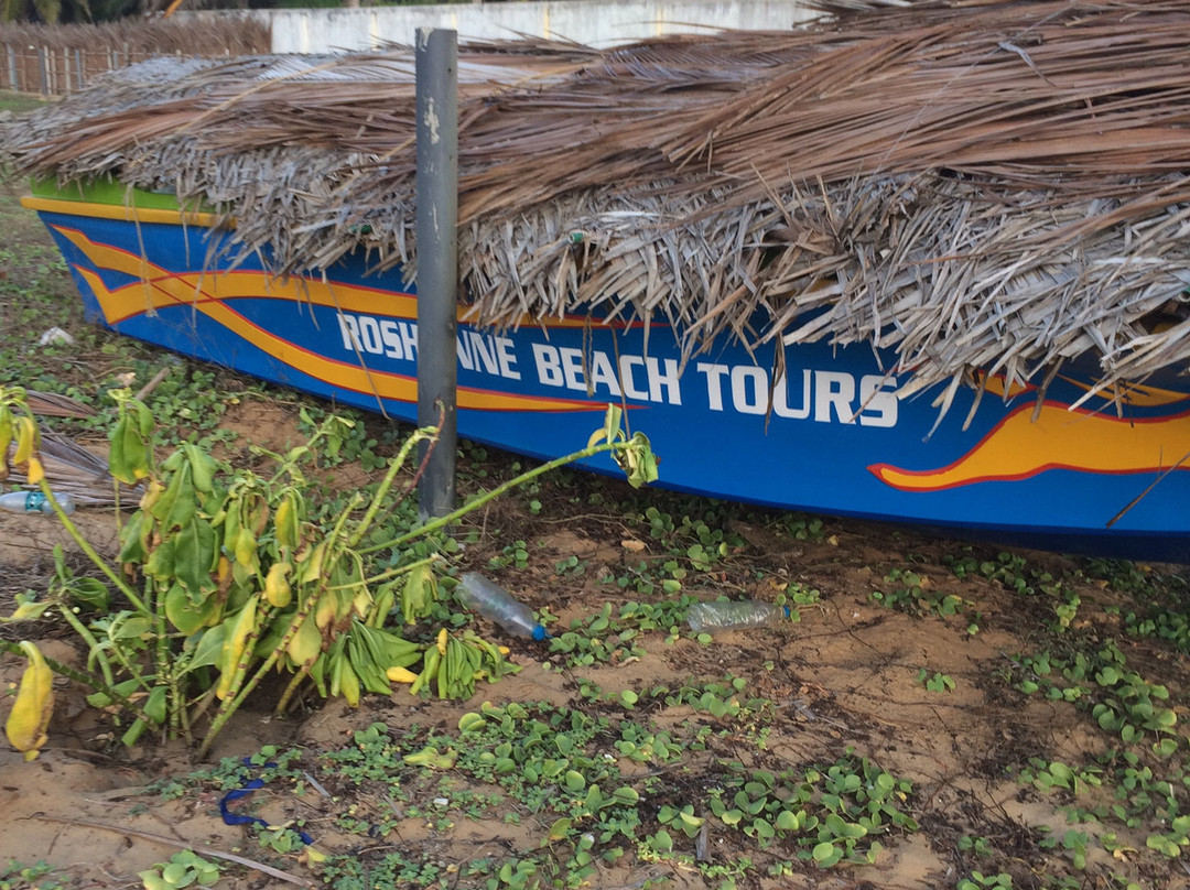 Roshanne Beach Resort主图