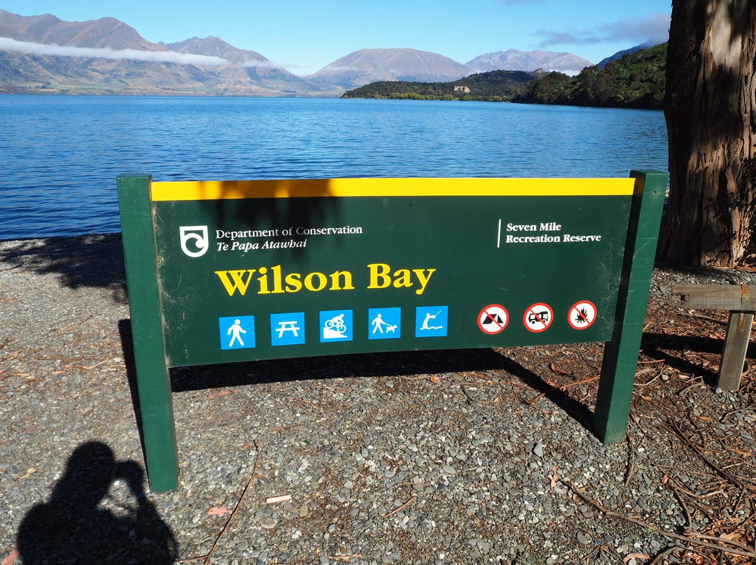 Wilson Bay Track景点图片