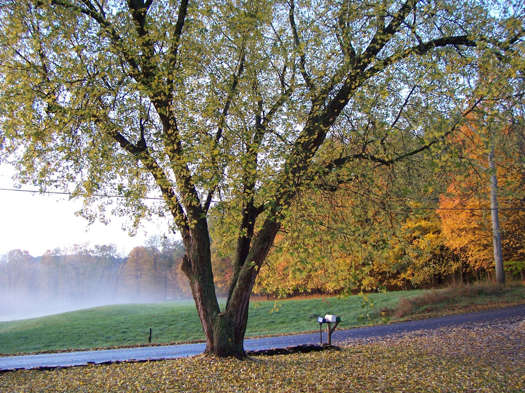 Copper Kettle Bed & Breakfast主图