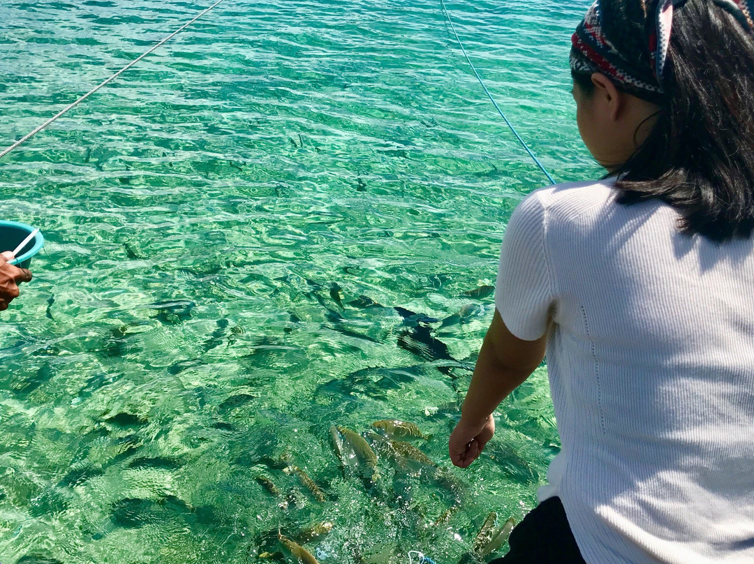 Juag Fish Sanctuary-Matnog必去景点