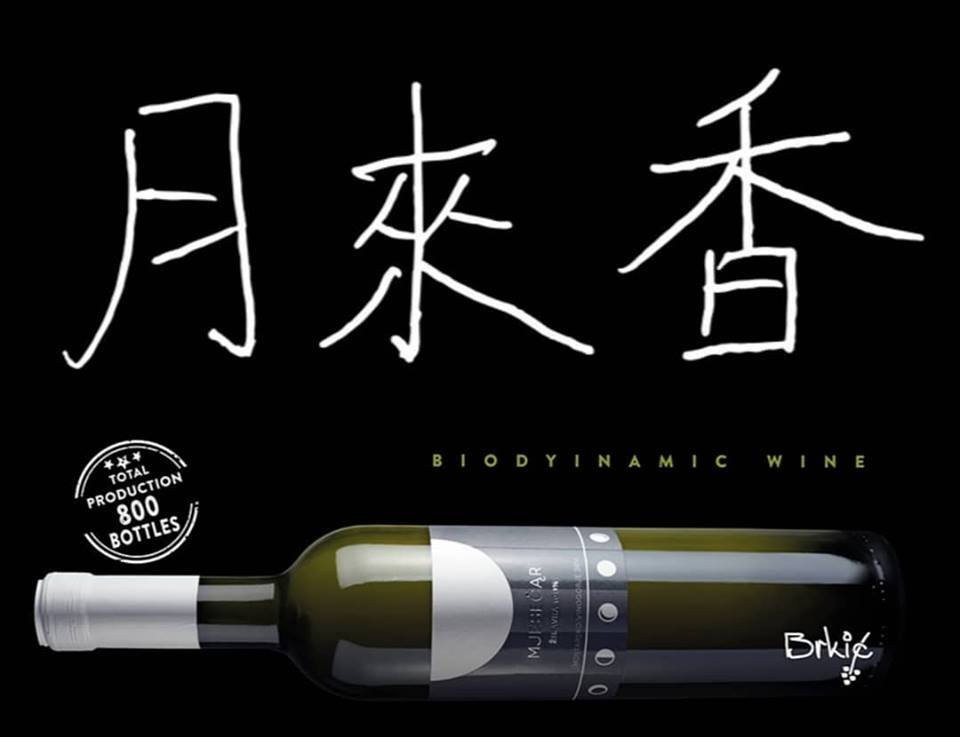 Wine cellar Brkic景点图片