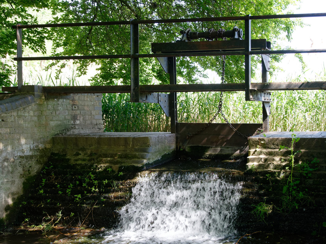 Batford Springs Nature Reserve景点图片