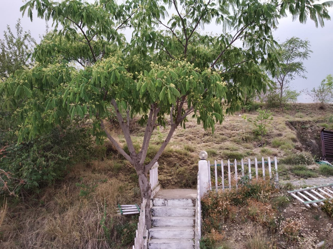 Sunshine Courtyard Resort主图