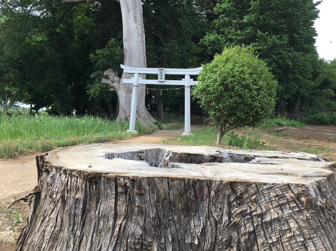 Hachiman Shrine-牛久市必去景点
