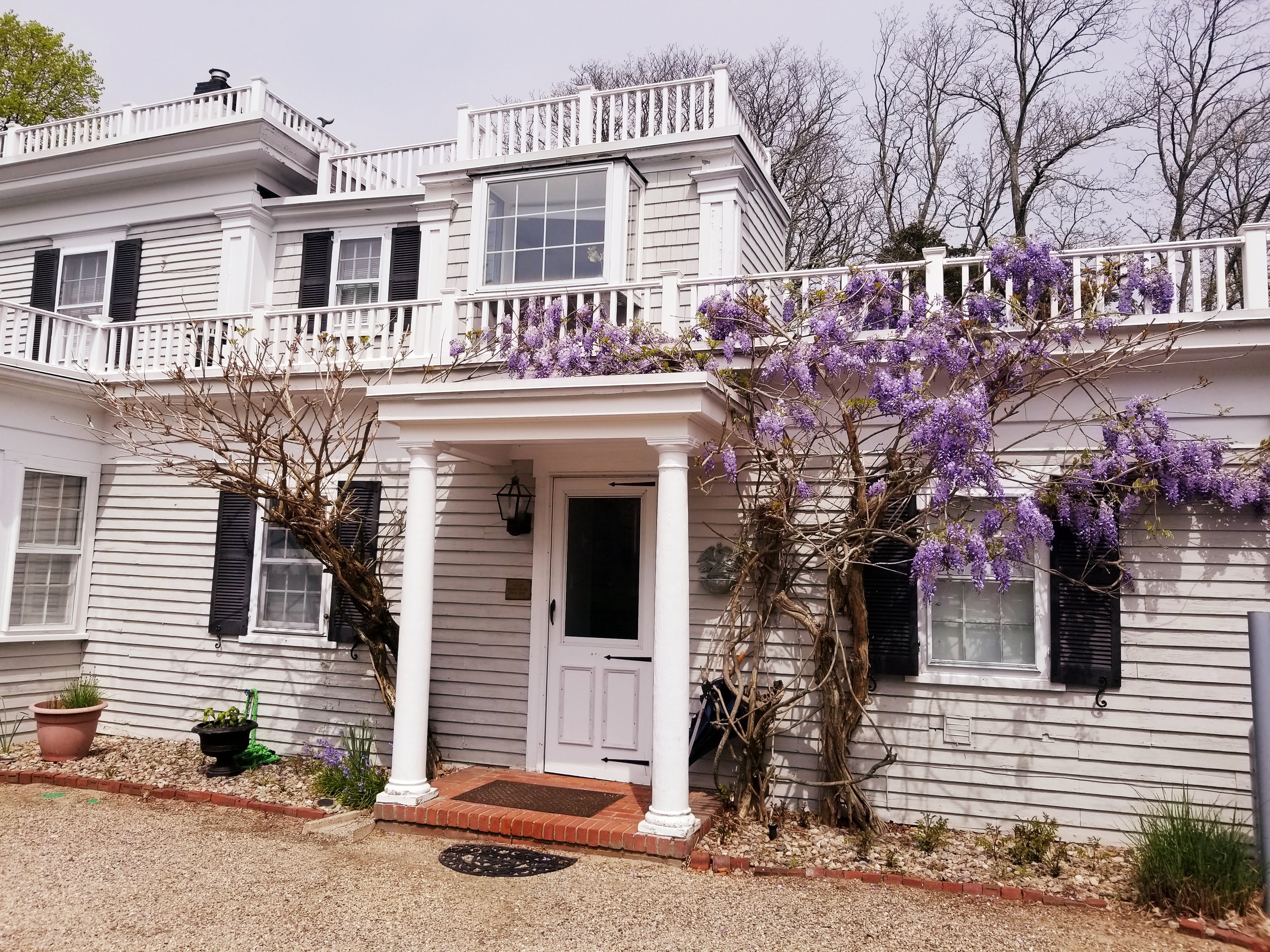 Whalewalk Inn & Spa-官方