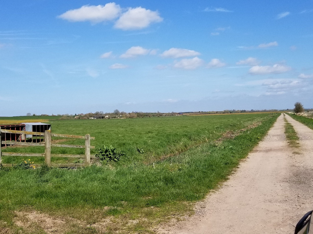 Somerset Levels and Moors景点图片