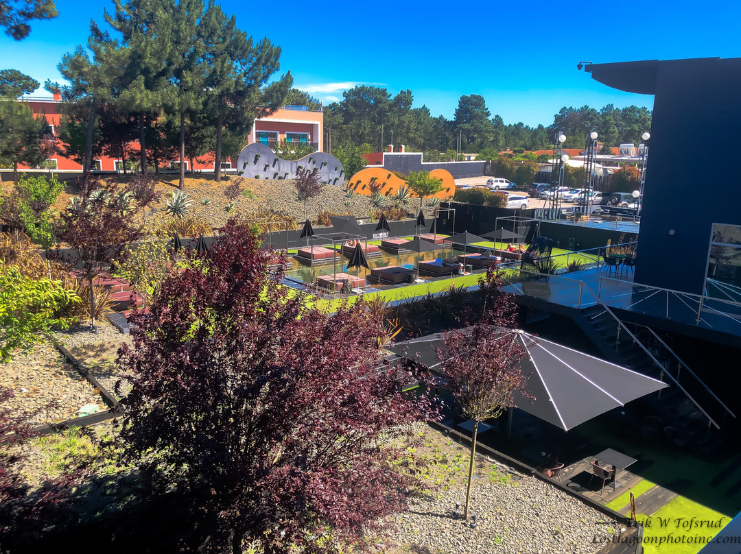 Evidencia Belverde Atitude Hotel主图