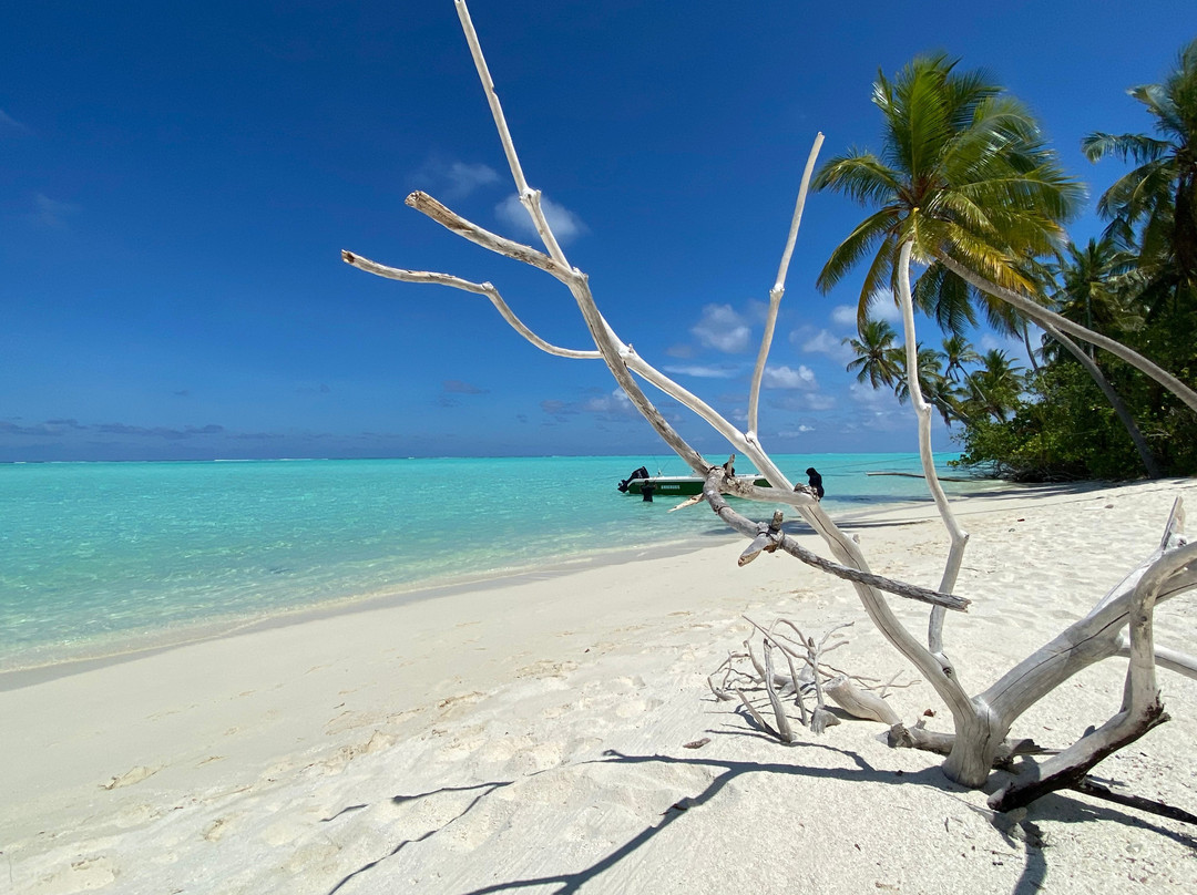 Velidhoo酒店住宿-Alimas Holiday Retreat