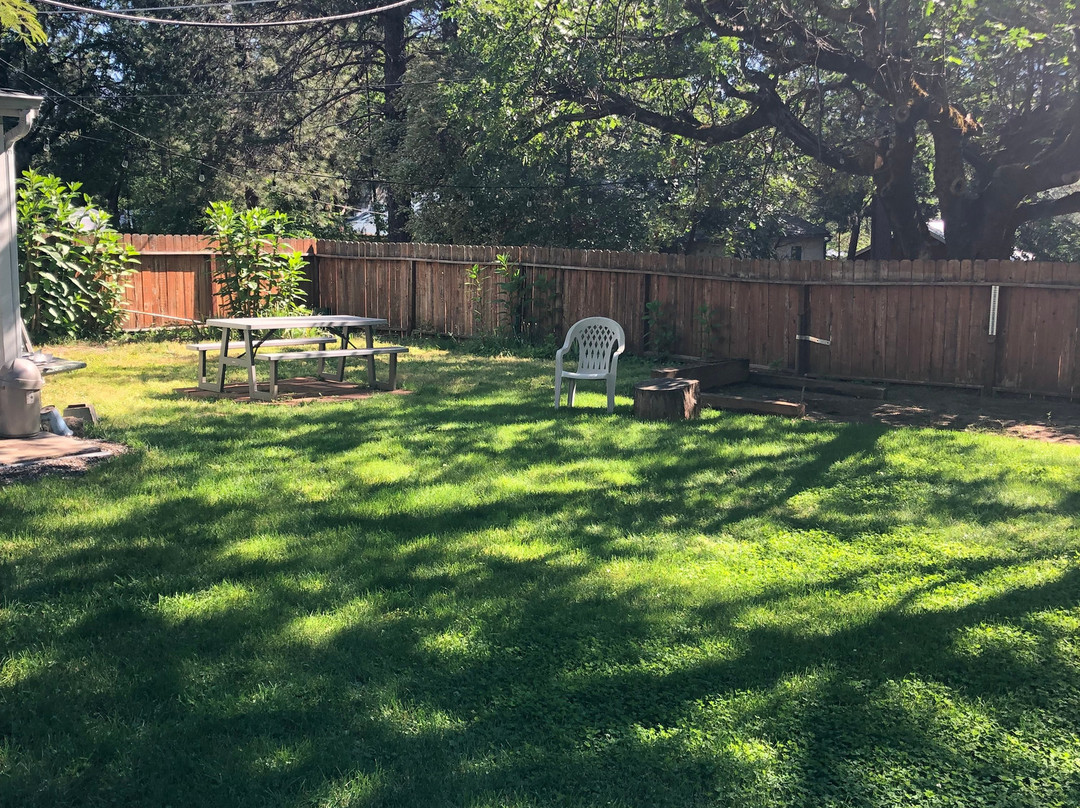 Lake Shasta Lodge主图