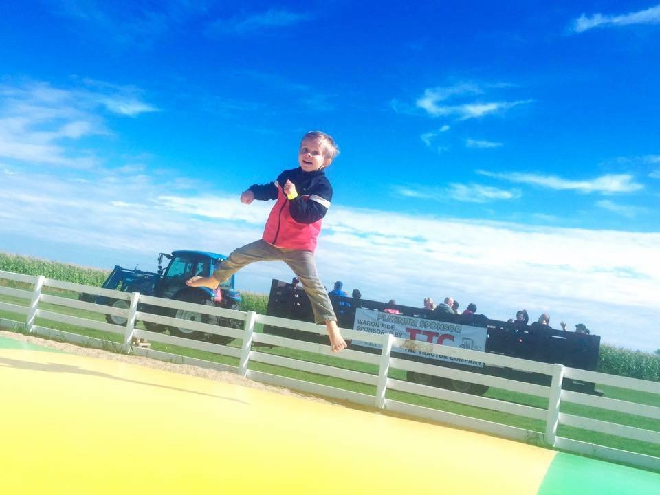 Youth Farm Corn Maze-Rosthern必去景点