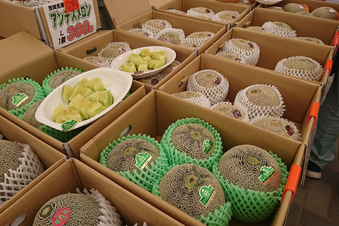 Michi no Eki Kurimo and Benikomachi no Sato景点图片