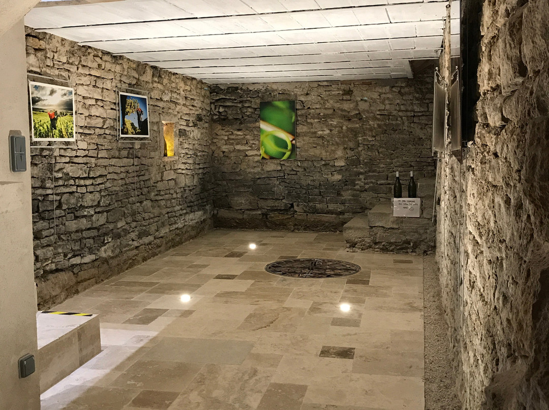 Vins Coudurier Jung景点图片