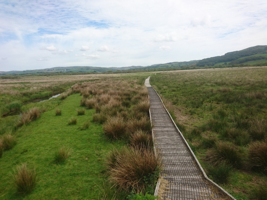 Cors Caron-Tregaron必去景点