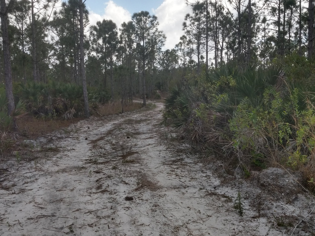 Halpatiokee Regional Park-斯图尔特必去景点