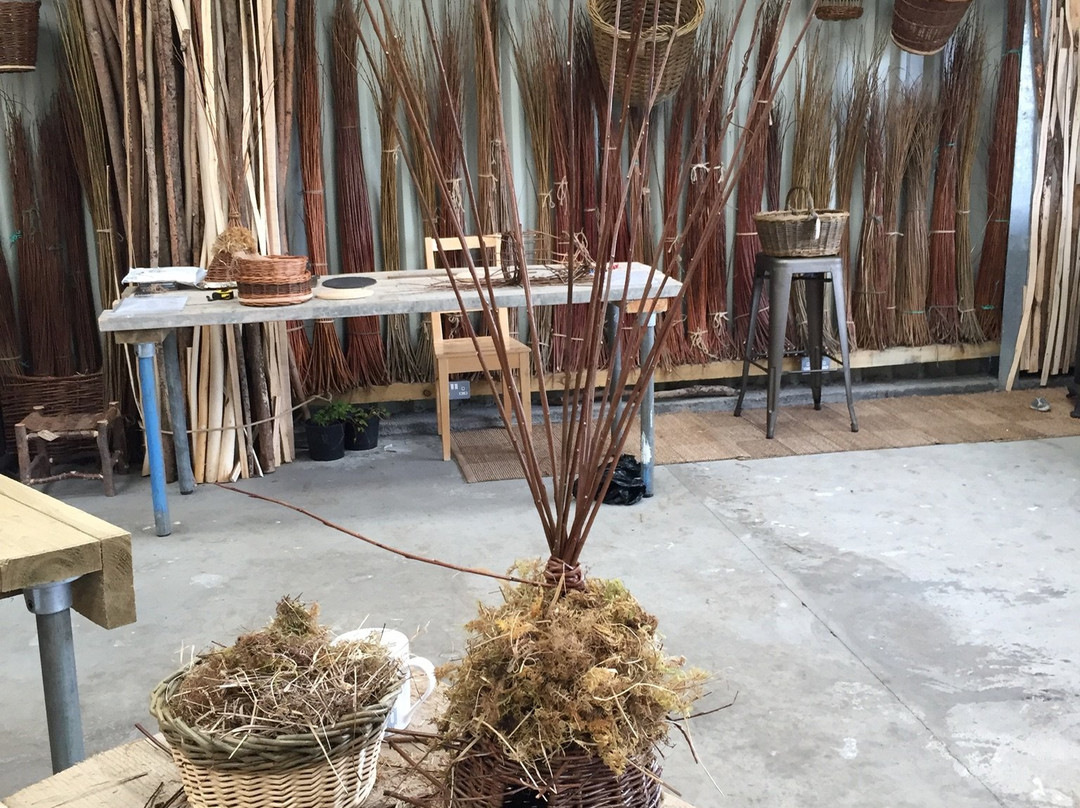 Mull Willow-Ardtun必去景点