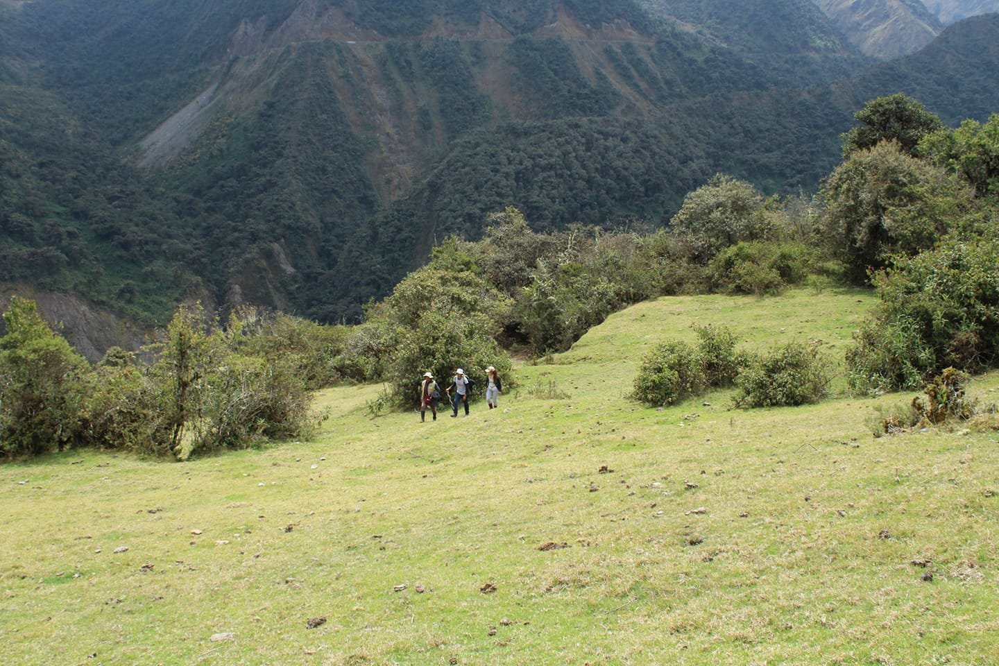 Cochapata Lodge-官方