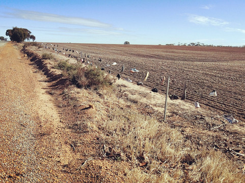 Narembeen's Mile of Boots-Narembeen必去景点