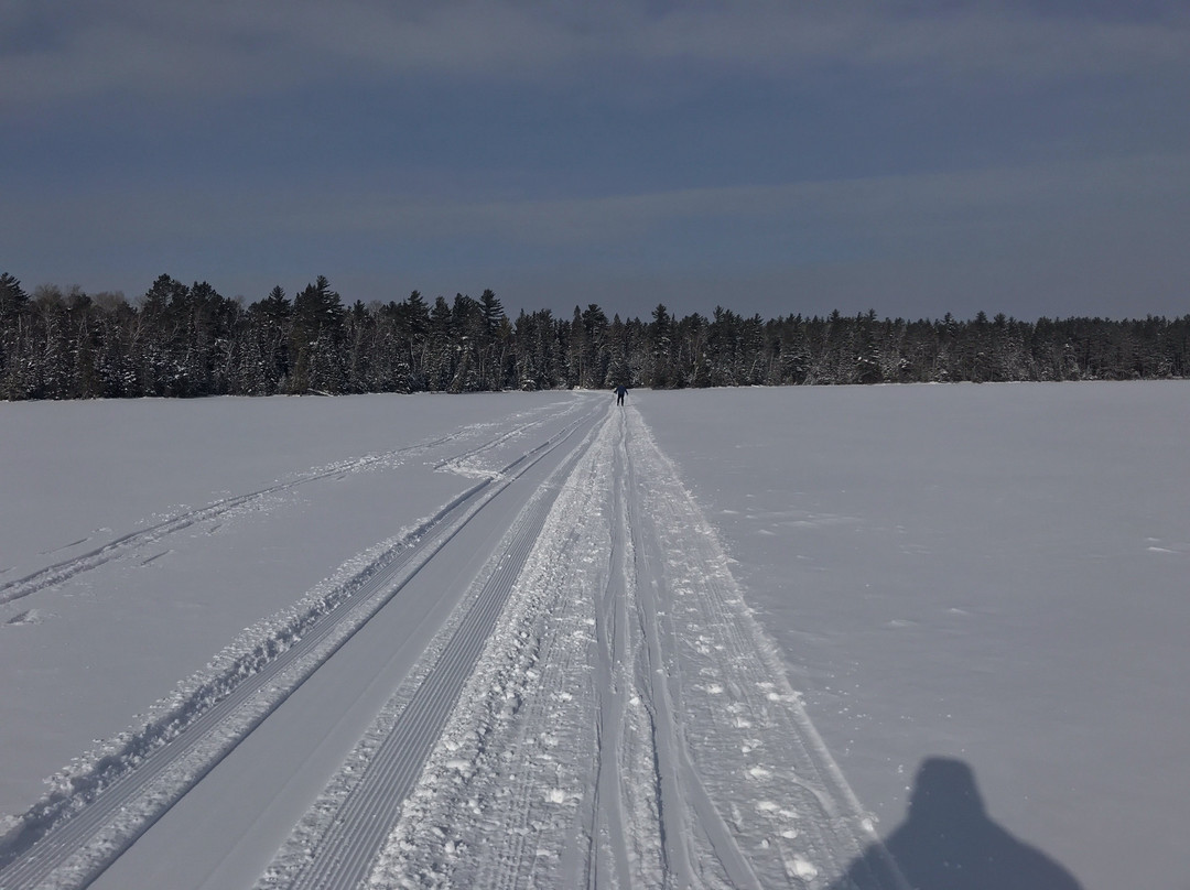 Flathorn - Gegoka Cross Country Ski Trails景点图片